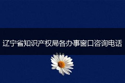 辽宁省知识产权局各办事窗口咨询电话