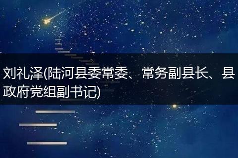 刘礼泽(陆河县委常委、常务副县长、县政府党组副书记)