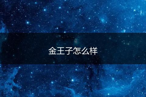 金王子怎么样