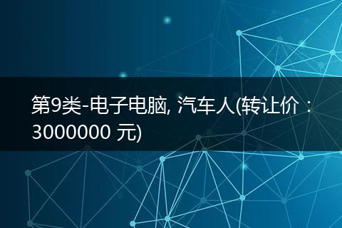 第9类-电子电脑, 汽车人(转让价：3000000 元)