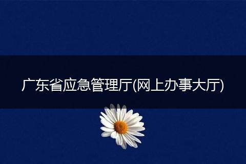 广东省应急管理厅(网上办事大厅)