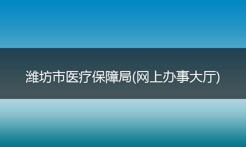 潍坊市医疗保障局(网上办事大厅)