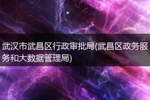 武汉市武昌区行政审批局(武昌区政务服务和大数据管理局)