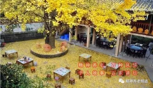 李聊（智金）说：精神养老