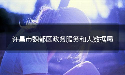 许昌市魏都区政务服务和大数据局