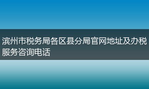滨州市税务局各区县分局官网地址及办税服务咨询电话