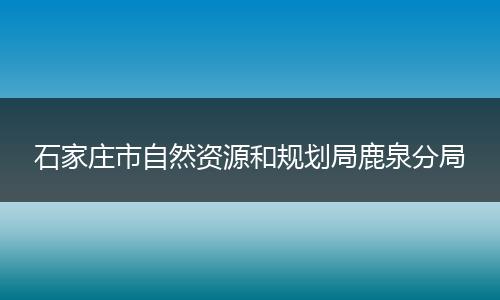 石家庄市自然资源和规划局鹿泉分局