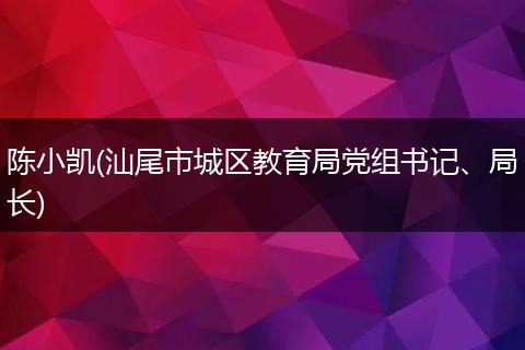 陈小凯(汕尾市城区教育局党组书记、局长)