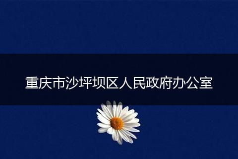重庆市沙坪坝区人民政府办公室