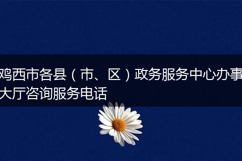 鸡西市各县（市、区）政务服务中心办事大厅咨询服务电话