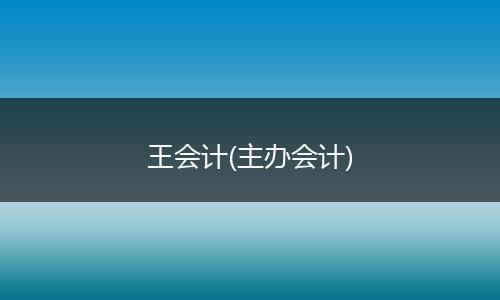 王会计(主办会计)
