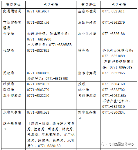 马山县政务服务中心(办事大厅)