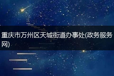 重庆市万州区天城街道办事处(政务服务网)