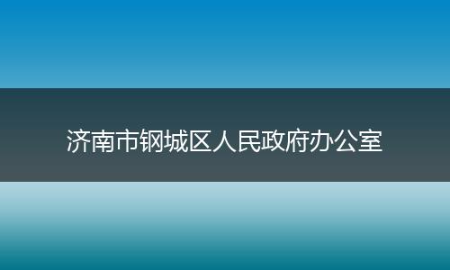 济南市钢城区人民政府办公室