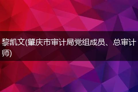 黎凯文(肇庆市审计局党组成员、总审计师)