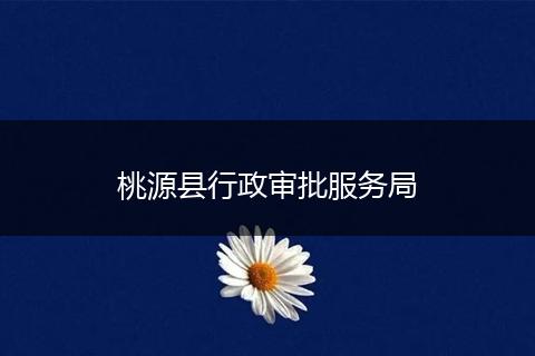 桃源县行政审批服务局
