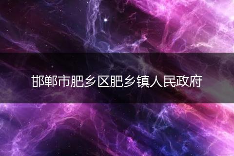 邯郸市肥乡区肥乡镇人民政府