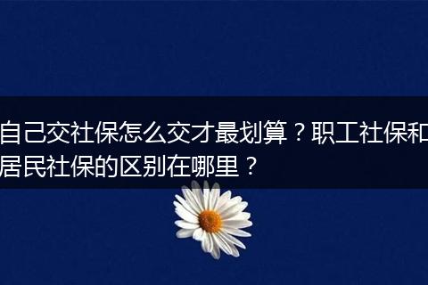 自己交社保怎么交才最划算？职工社保和居民社保的区别在哪里？