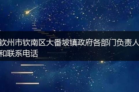 钦州市钦南区大番坡镇政府各部门负责人和联系电话