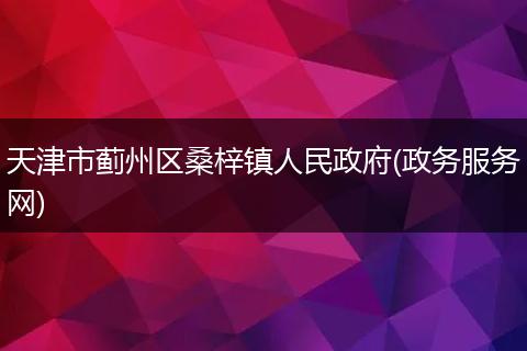 天津市蓟州区桑梓镇人民政府(政务服务网)