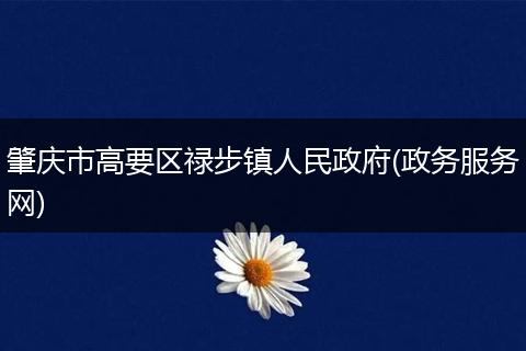 肇庆市高要区禄步镇人民政府(政务服务网)