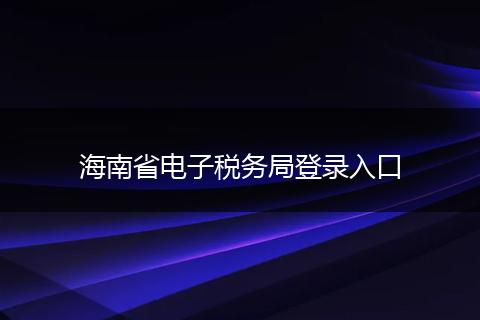 海南省电子税务局登录入口