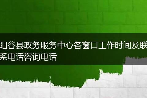 阳谷县政务服务中心各窗口工作时间及联系电话咨询电话