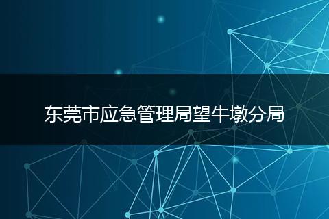 东莞市应急管理局望牛墩分局