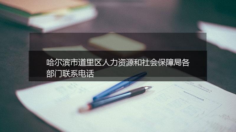 哈尔滨市道里区人力资源和社会保障局各部门联系电话