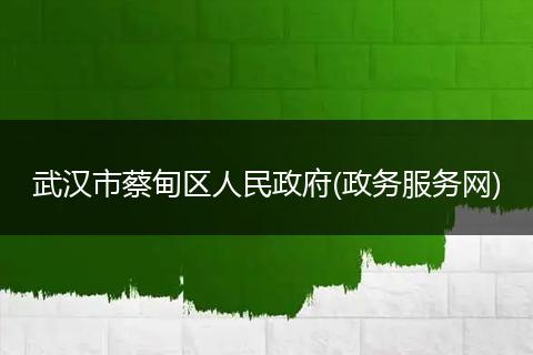 武汉市蔡甸区人民政府(政务服务网)