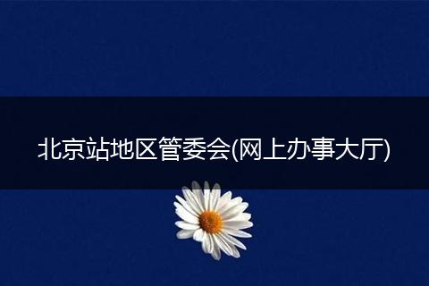 北京站地区管委会(网上办事大厅)