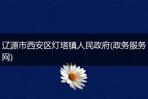 辽源市西安区灯塔镇人民政府(政务服务网)