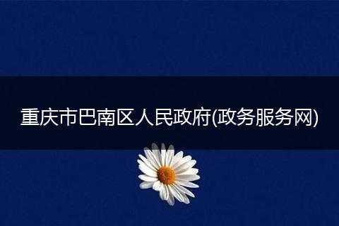 重庆市巴南区人民政府(政务服务网)