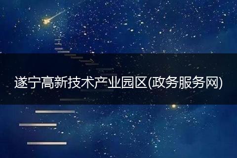 遂宁高新技术产业园区(政务服务网)