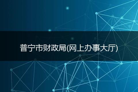 普宁市财政局(网上办事大厅)