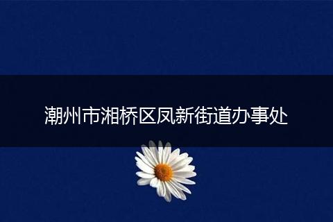 潮州市湘桥区凤新街道办事处