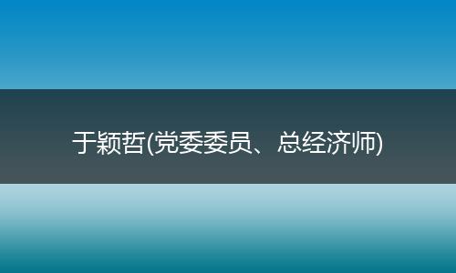 于颖哲(党委委员、总经济师)
