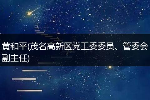 黄和平(茂名高新区党工委委员、管委会副主任)