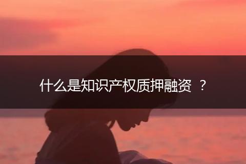 什么是知识产权质押融资 ？