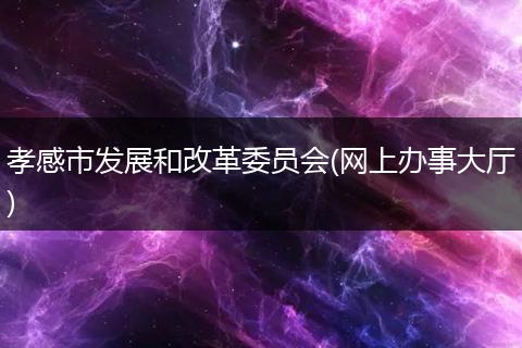 孝感市发展和改革委员会(网上办事大厅)