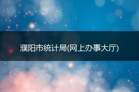 濮阳市统计局(网上办事大厅)