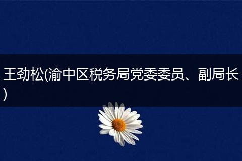 王劲松(渝中区税务局党委委员、副局长)
