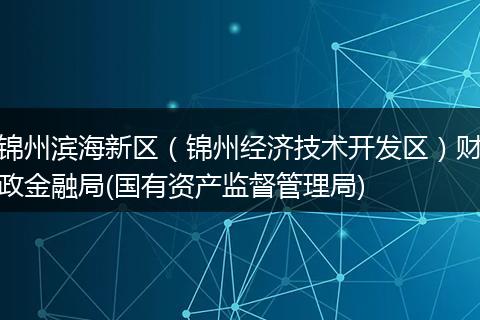 锦州滨海新区（锦州经济技术开发区）财政金融局(国有资产监督管理局)