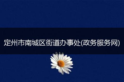 定州市南城区街道办事处(政务服务网)