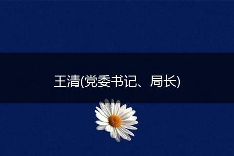 王清(党委书记、局长)