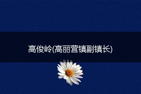 高俊岭(高丽营镇副镇长)