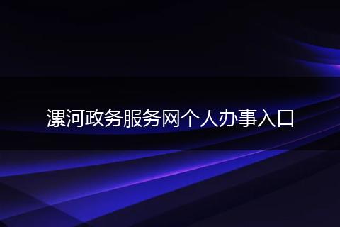 漯河政务服务网个人办事入口