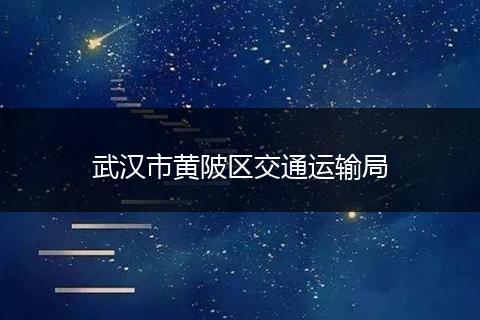 武汉市黄陂区交通运输局