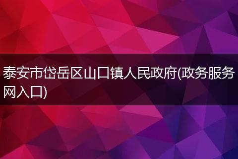 泰安市岱岳区山口镇人民政府(政务服务网入口)