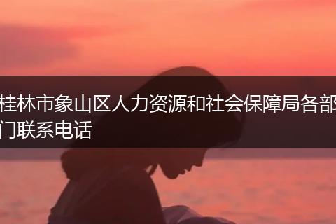 桂林市象山区人力资源和社会保障局各部门联系电话